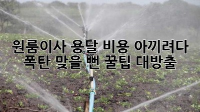 📦 원룸이사, 용달 비용 아끼려다 💸 폭탄 맞을 뻔?! 꿀팁 대방출!